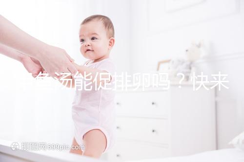 甲魚湯能促排卵嗎？快來看看4大促卵泡發育的做法