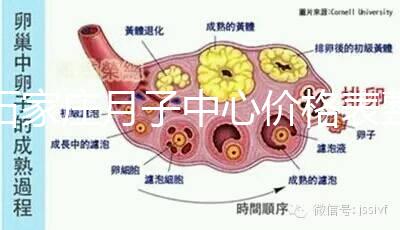 石家莊月子中心價格表整理,長安最貴最好的一家原來是它