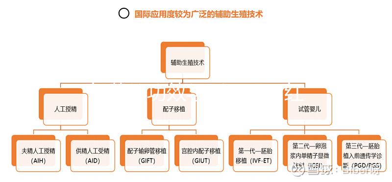 紅花的功效與副作用(紅花不適宜人群)