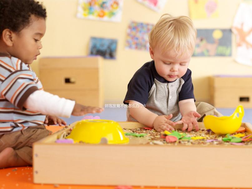卵泡發育不良怎么辦,3種方法可生產優質卵子