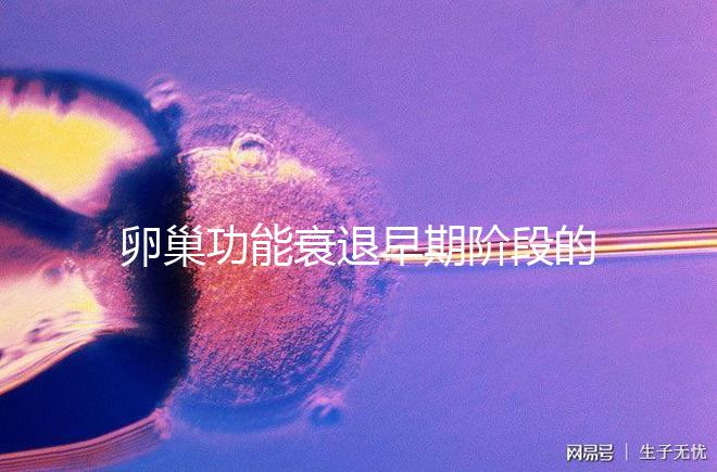 卵巢功能衰退早期階段的妊娠率釋疑，供卵試管嬰兒可>50%