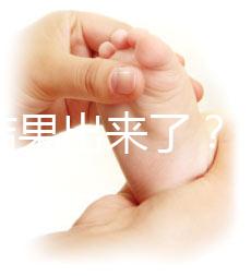 養(yǎng)囊結(jié)果出來(lái)了？3ab囊胚成功率、質(zhì)量好不好看這里