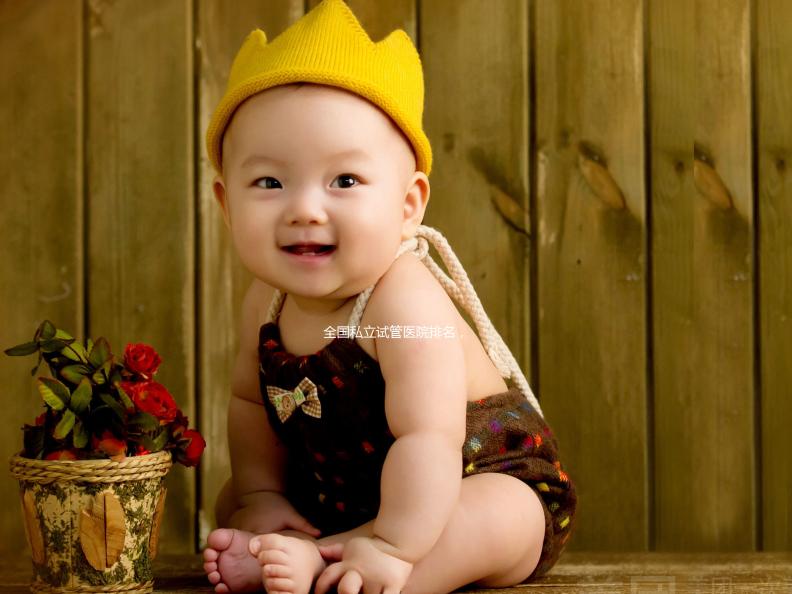 全國(guó)私立試管醫(yī)院排名，附兩家助孕機(jī)構(gòu)成功率與費(fèi)用