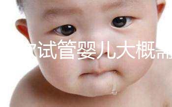 做一次試管嬰兒大概需要花多...@師曉東兒童血液的動(dòng)態(tài)