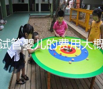 做試管嬰兒的費用大概多少