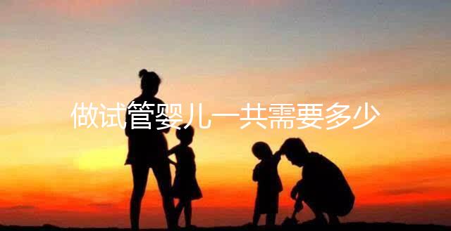 做試管嬰兒一共需要多少錢？