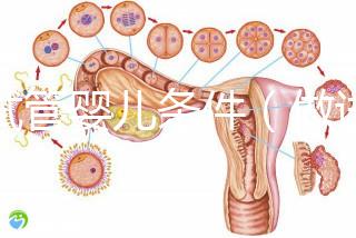 做試管嬰兒條件(做試管嬰兒條件有哪些)