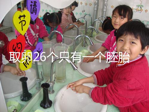 取卵26個只有一個胚胎成功率不低，次月移植凍胚易著床