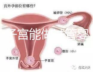 雙角子宮能做試管嬰兒?jiǎn)幔靠梢裕@2大條件缺一不可