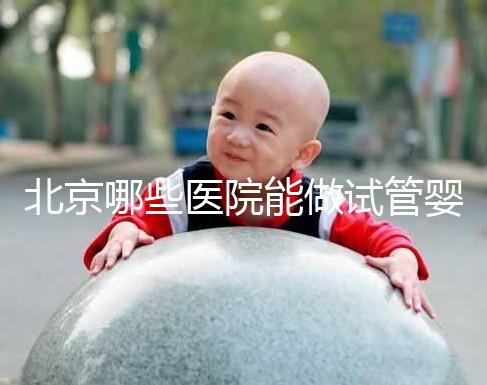 北京哪些醫院能做試管嬰兒？