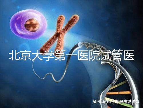 北京大學第一醫院試管醫生排名？附簡介和擅長醫療方向