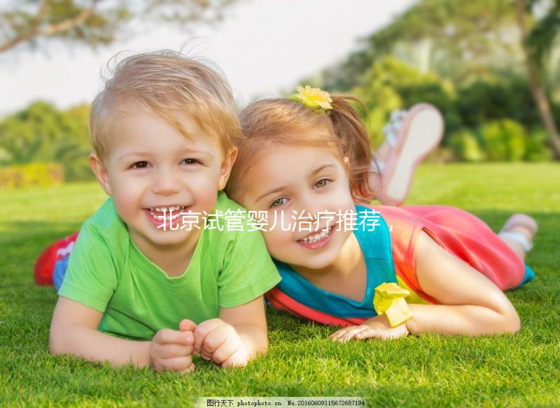 北京試管嬰兒治療推薦,權(quán)威醫(yī)院及特色服務(wù)一覽