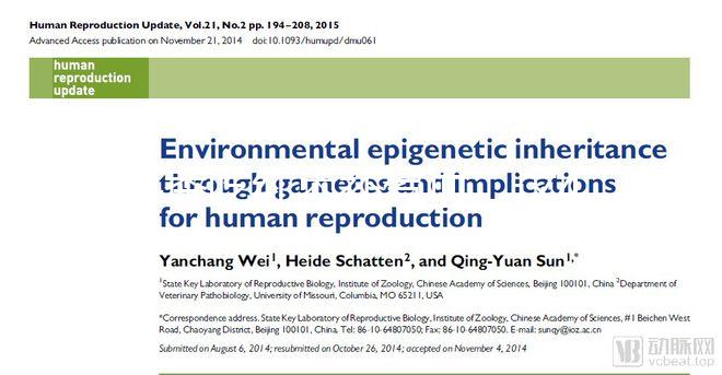 冬季吃紅棗補氣血,這4大禁忌孕婦千萬別犯