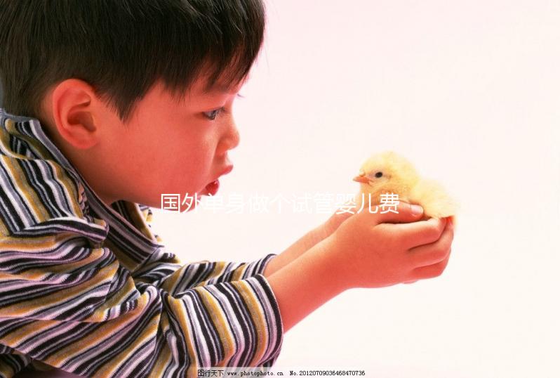 國外單身做個試管嬰兒費用大概要多少？