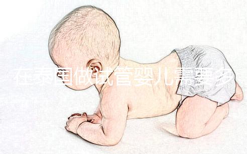 在泰國做試管嬰兒需要多長時間?這些步驟缺一不可?