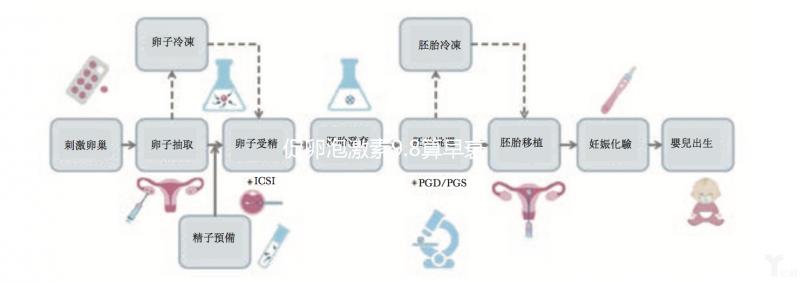 促卵泡激素9.8算早衰嗎?醫(yī)生:不能確定就是卵巢早衰