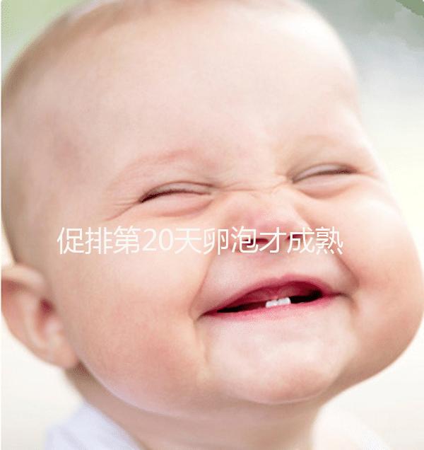 促排第20天卵泡才成熟真不會(huì)太晚,沒來月經(jīng)15X13都有希望