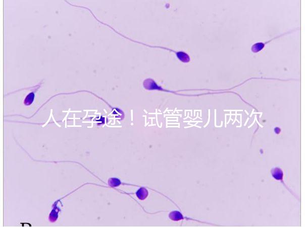 人在孕途！試管嬰兒兩次胎停育,了解這幾招能降低流產(chǎn)風(fēng)險(xiǎn)