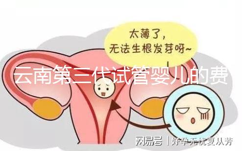 云南第三代試管嬰兒的費(fèi)用是多少?如何選擇可靠的醫(yī)院?這篇文章的策略已經(jīng)為你做好了