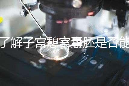 了解子宮憩室囊胚是否能成功移植，這里是否有出血