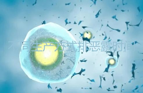 不同生產(chǎn)方式排惡露時(shí)間有區(qū)別,來(lái)看看你屬于哪種