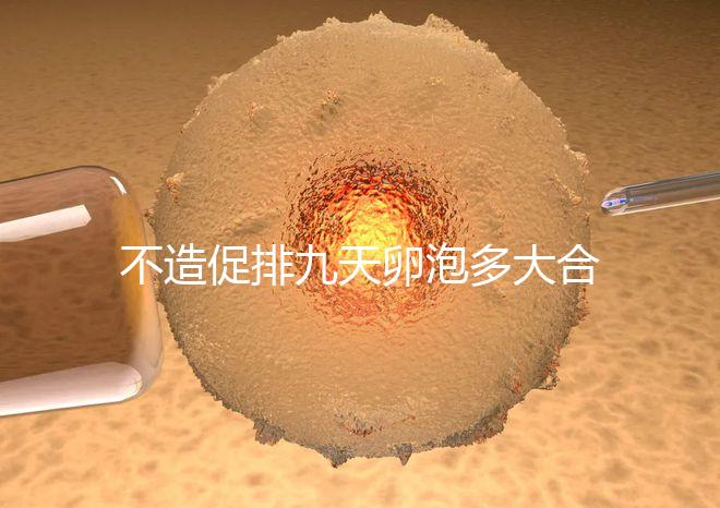 不造促排九天卵泡多大合適的瞧，卵巢功能好卵子10還能長
