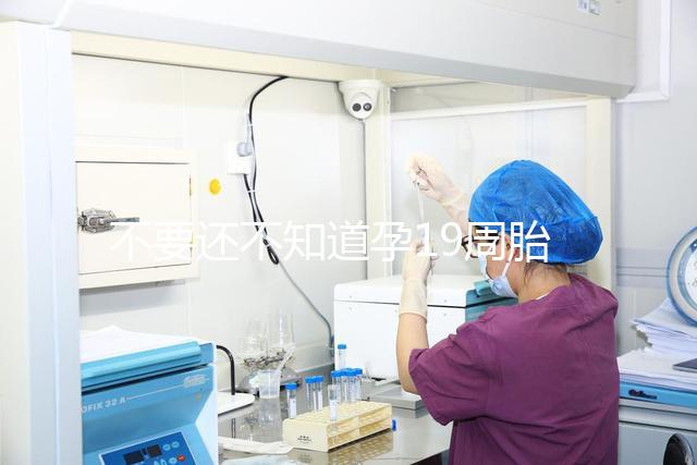 不要還不知道孕19周胎教音樂(lè)是怎么放的先聽聽有用嗎?