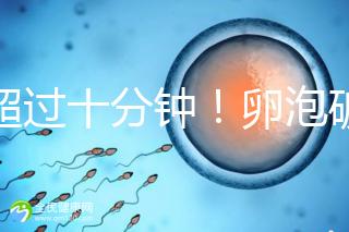 不超過十分鐘!卵泡破裂到輸卵管的時間,備孕必收藏