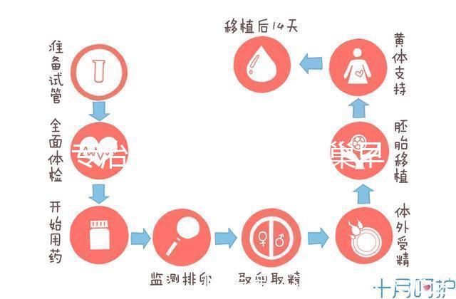 專治停經(jīng)、絕經(jīng)、卵巢早衰?利維愛的作用與適應(yīng)癥分析