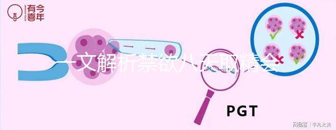 一文解析禁欲八天取精會(huì)不會(huì)懷孕,影不影響質(zhì)量都有總結(jié)