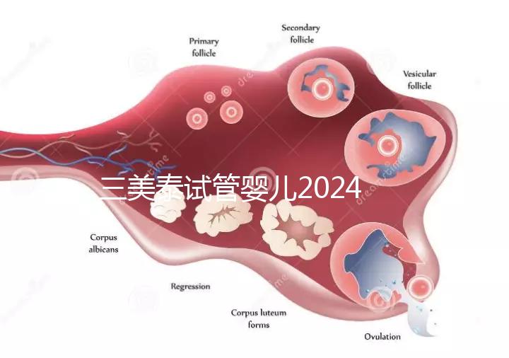 三美泰試管嬰兒2024年的成功率還能更高嗎？