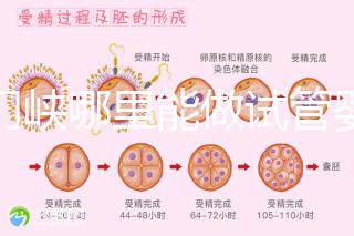 三門峽哪里能做試管嬰兒？從經(jīng)歷談成功率和費(fèi)用