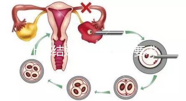 上海結(jié)婚登記照片的要求來了你能戴首飾讀懂嗎?
