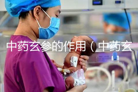 中藥玄參的作用(中藥玄參的作用與功效)