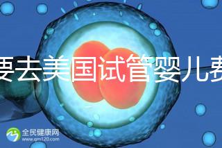 想要去美國試管嬰兒費(fèi)用要花多少錢?2025年費(fèi)用明細(xì)!