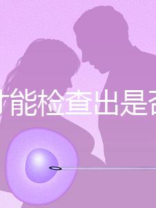 怎樣才能檢查出是否懷孕？