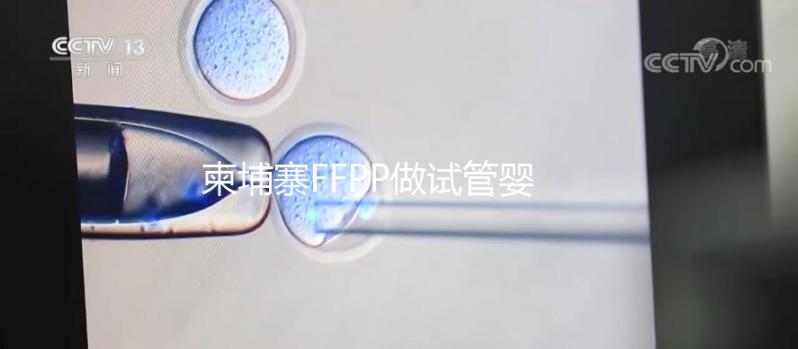 柬埔寨FFPP做試管嬰兒不“包成功”，小心不良中介套路