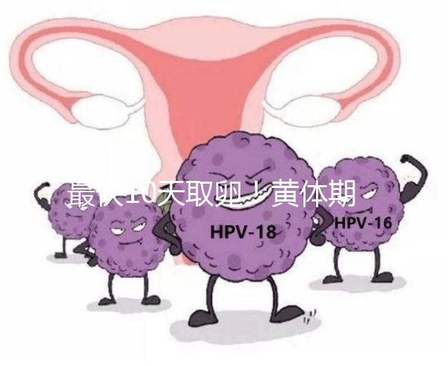 最快10天取卵!黃體期促排需要多長(zhǎng)時(shí)間看這個(gè)指標(biāo)