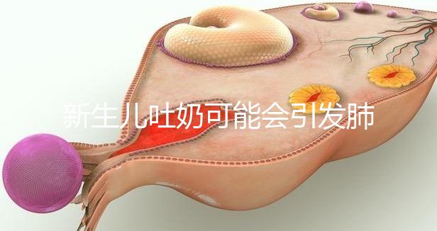 新生兒吐奶可能會引發(fā)肺炎,除此之外還有3點(diǎn)危害