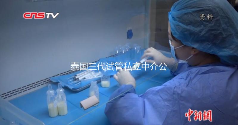 泰國三代試管私立中介公司推薦，排名一目了然，輕松選擇！