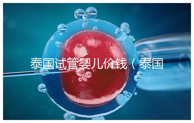 泰國試管嬰兒價錢（泰國試管嬰兒價錢是多少錢）