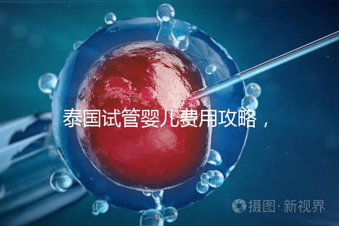 泰國試管嬰兒費用攻略，2025年詳細預算指南