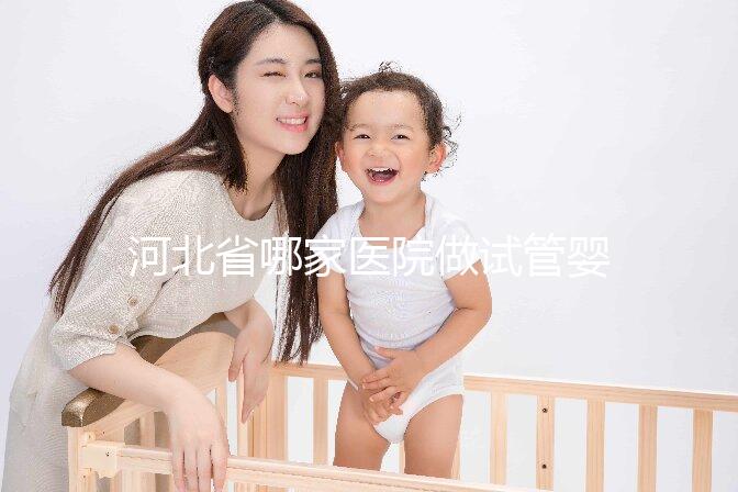 河北省哪家醫(yī)院做試管嬰兒好？這5家醫(yī)院成功上榜！