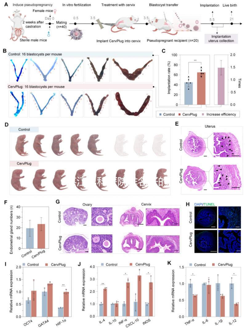 湛江男科醫(yī)院排名好的醫(yī)院分享，2024廣醫(yī)大附院上榜