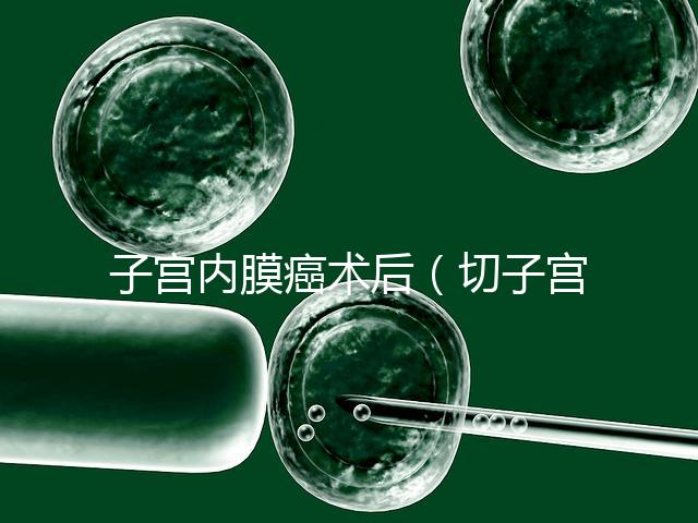 子宮內膜癌術后(切子宮手術需要多少錢)