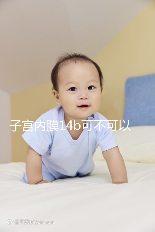 子宮內膜14b可不可以移植囊胚看情況,能否成功只看三點