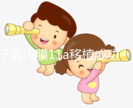子宮內膜11a移植成功率解析,好不好、適不適合著床看這