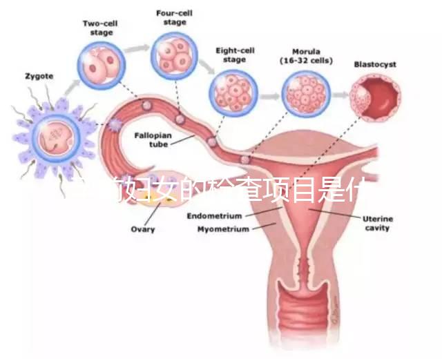孕前婦女的檢查項(xiàng)目是什么？