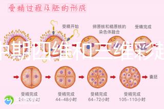 孕中期四維和三維彩超檢查區別真不小，看完便知誰更好