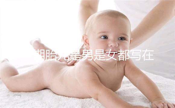 孕期胎兒是男是女都寫在B超單上，或真能一眼看出來